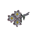 Load image into Gallery viewer, STARFALL BLOOM
