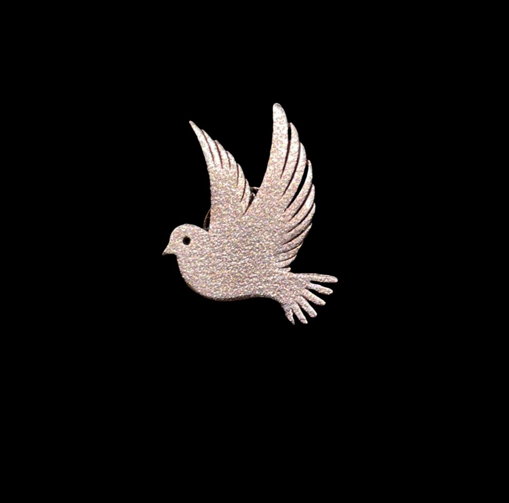 Silver Soar Brooch