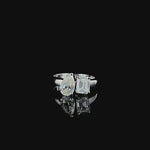 Load and play video in Gallery viewer, Eternal Duo Radiance Ring
